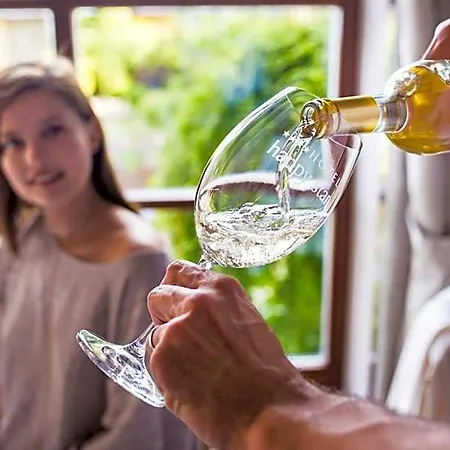Wellness Happy Star 4* Znojmo